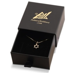 14K Gold Classic Star of David Diamond Pendant Necklace