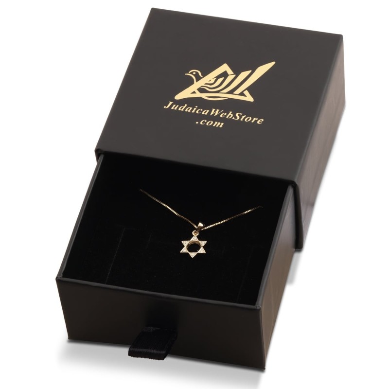 Collier pendentif diamant étoile de David classique en or 14 carats