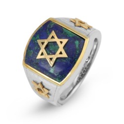 Marina Jewelry 925 Sterling Silver Men's Gold Plated Star of David Rin