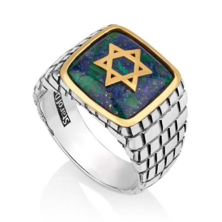תכשיטי מרינה 925 כסף סטרלינג לגברים בציפוי זהב מגן דוד Jer