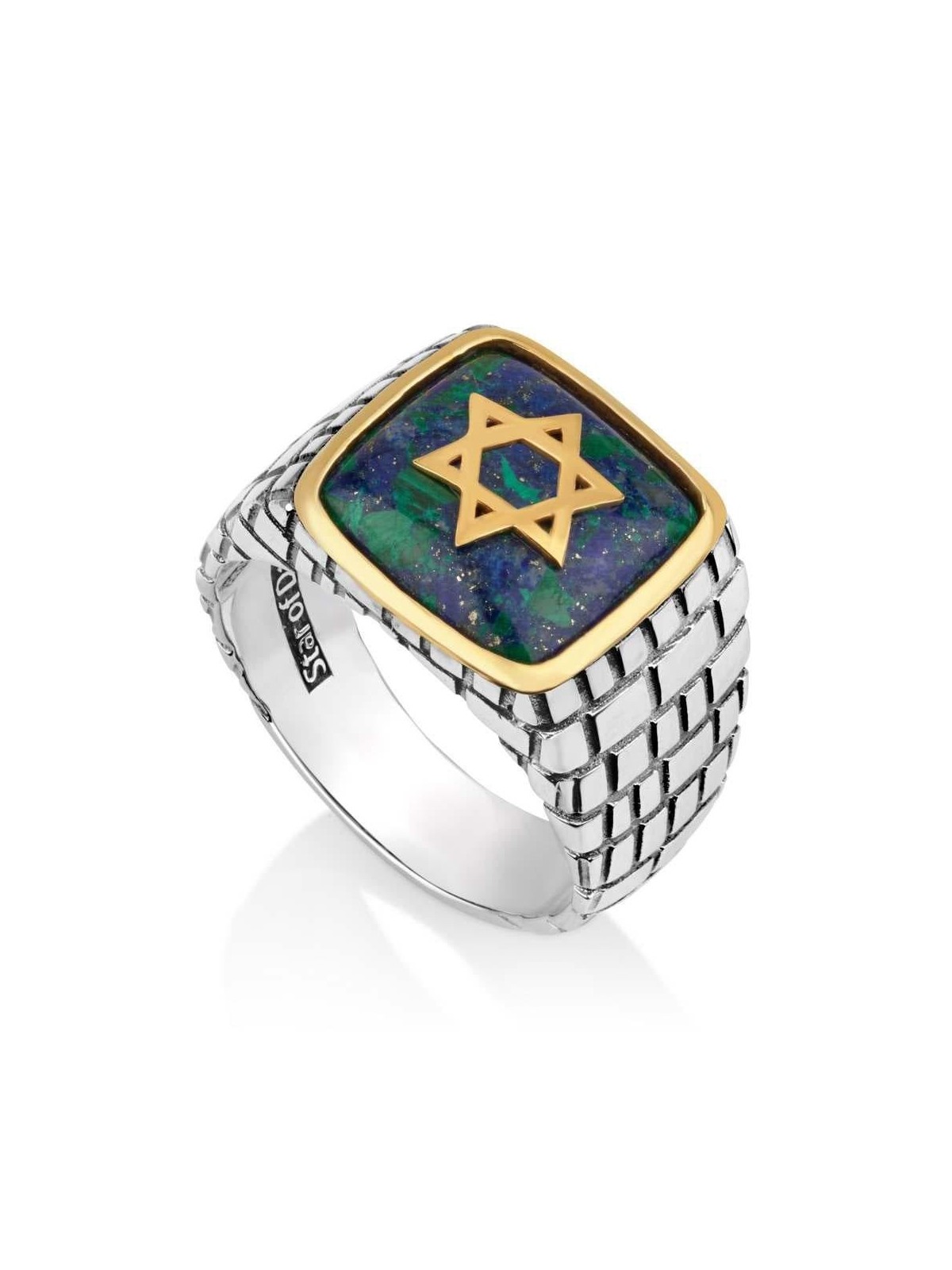 תכשיטי מרינה 925 כסף סטרלינג לגברים בציפוי זהב מגן דוד Jer