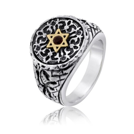 Lion de Juda : Bague étoile de David en argent et or avec grenat