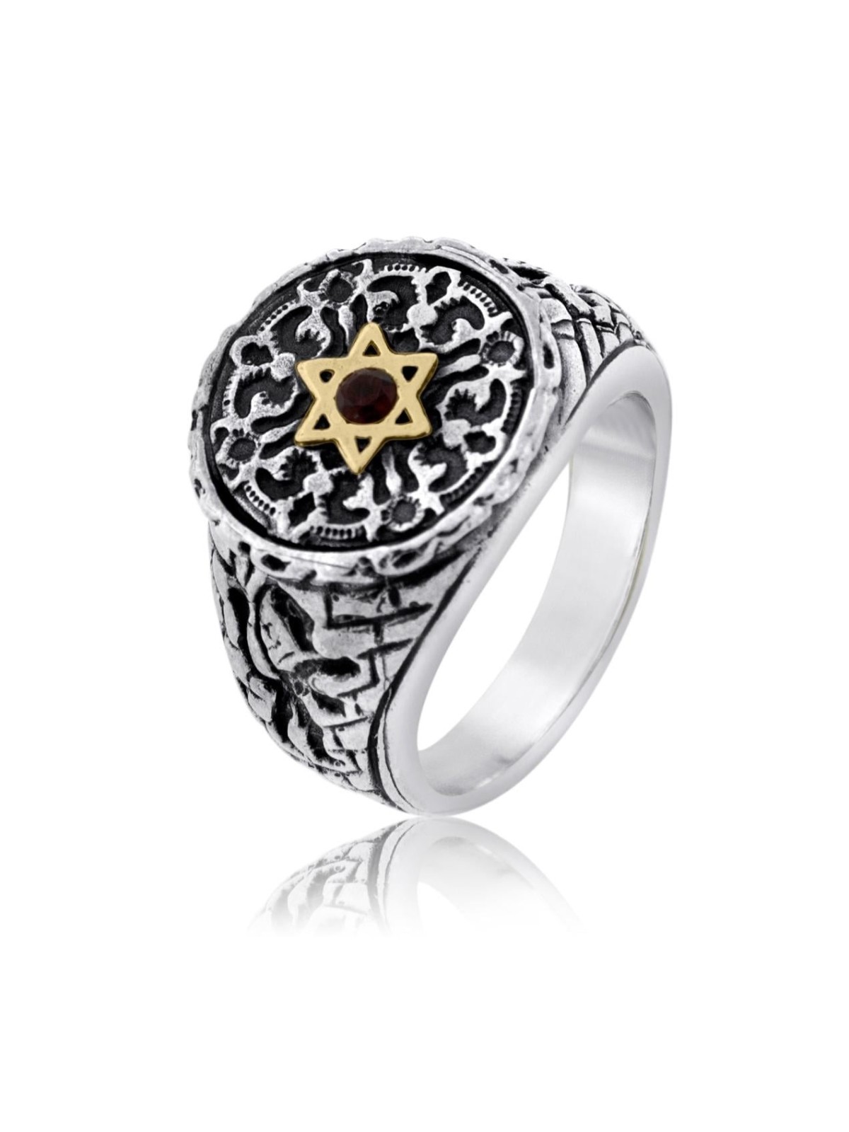 Lion of Judah: Silver and Gold Star of David Ring with Garnet