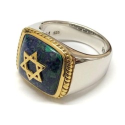 Marina Jewelry Gold Plated 925 Sterling Silver Men's Star of David Rin