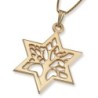 14K Gold Star of David and Tree of Life Pendant Necklace (Choice of Co