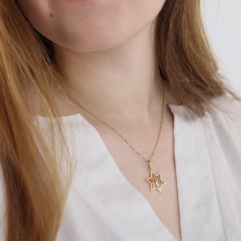 Collier pendentif étoile de David et arbre de vie en or 14 carats (choix de Co