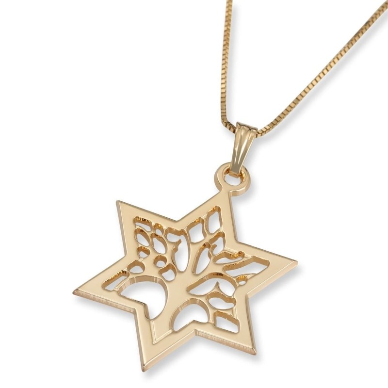 Collier pendentif étoile de David et arbre de vie en or 14 carats (choix de Co