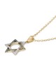 Anbinder Jewelry 14K Gold Blue and White Diamond Studded Star of David