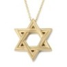 14K Gold Elegantly Lined Unisex Star of David Pendant