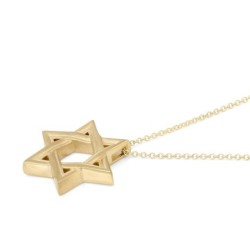 14K Gold Elegantly Lined Unisex Star of David Pendant