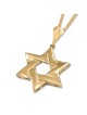 Deluxe 14K Yellow Gold Interlocking Star of David Pendant Necklace