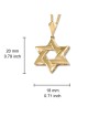 Deluxe 14K Yellow Gold Interlocking Star of David Pendant Necklace