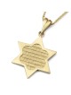 14K Gold Star of David Pendant Necklace With Western Wall Design