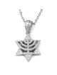 14K Gold Women's Menorah and Star of David Pendant with Diamonds - Col