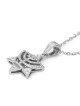 14K Gold Women's Menorah and Star of David Pendant with Diamonds - Col