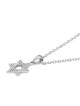 14K White Gold Sleek Diamond-Lined Star of David Pendant for Women