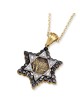 14K Gold Jerusalem Star of David Pendant With 36 Black & White Diamond