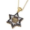 14K Gold Jerusalem Star of David Pendant With 36 Black & White Diamond