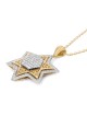 Pendentif étoile de David pour femme en or 14 carats doublé de diamants (couleur opti