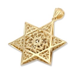 14K Gold Women's Star of David Pendant Lined with Diamonds (Color Opti