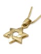 Chic 14K Yellow Gold Interlocking Star of David Pendant Necklace for W
