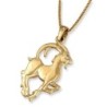 14K Yellow Gold Zodiac Capricorn Pendant with Diamond Accent