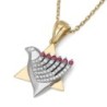 Two-Toned 14K Gold Star of David and Dove of Peace Pendant With Diamon