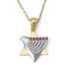 Two-Toned 14K Gold Star of David and Dove of Peace Pendant With Diamon
