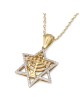 14K Gold Diamond-Studded Star of David Pendant with Seven-Branch Menor