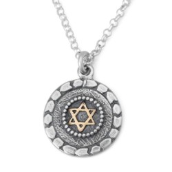 Stone Window: Silver Necklace with Gold Star of David