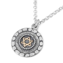 Stone Window: Silver Necklace with Gold Star of David