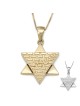 Jerusalem: 14K Gold Star of David Pendant Necklace