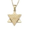 Jerusalem: 14K Gold Star of David Pendant Necklace