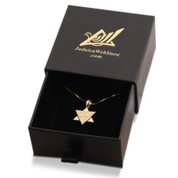 Jerusalem: 14K Gold Star of David Pendant Necklace