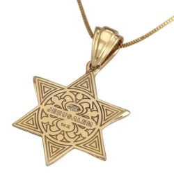 14K Gold and Diamond Star of David Pendant with Central Hexagon and Sm