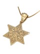 14K Gold and Diamond Star of David Pendant with Central Hexagon and Sm