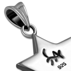 Sterling Silver and Onyx Stone Star of David Pendant Necklace