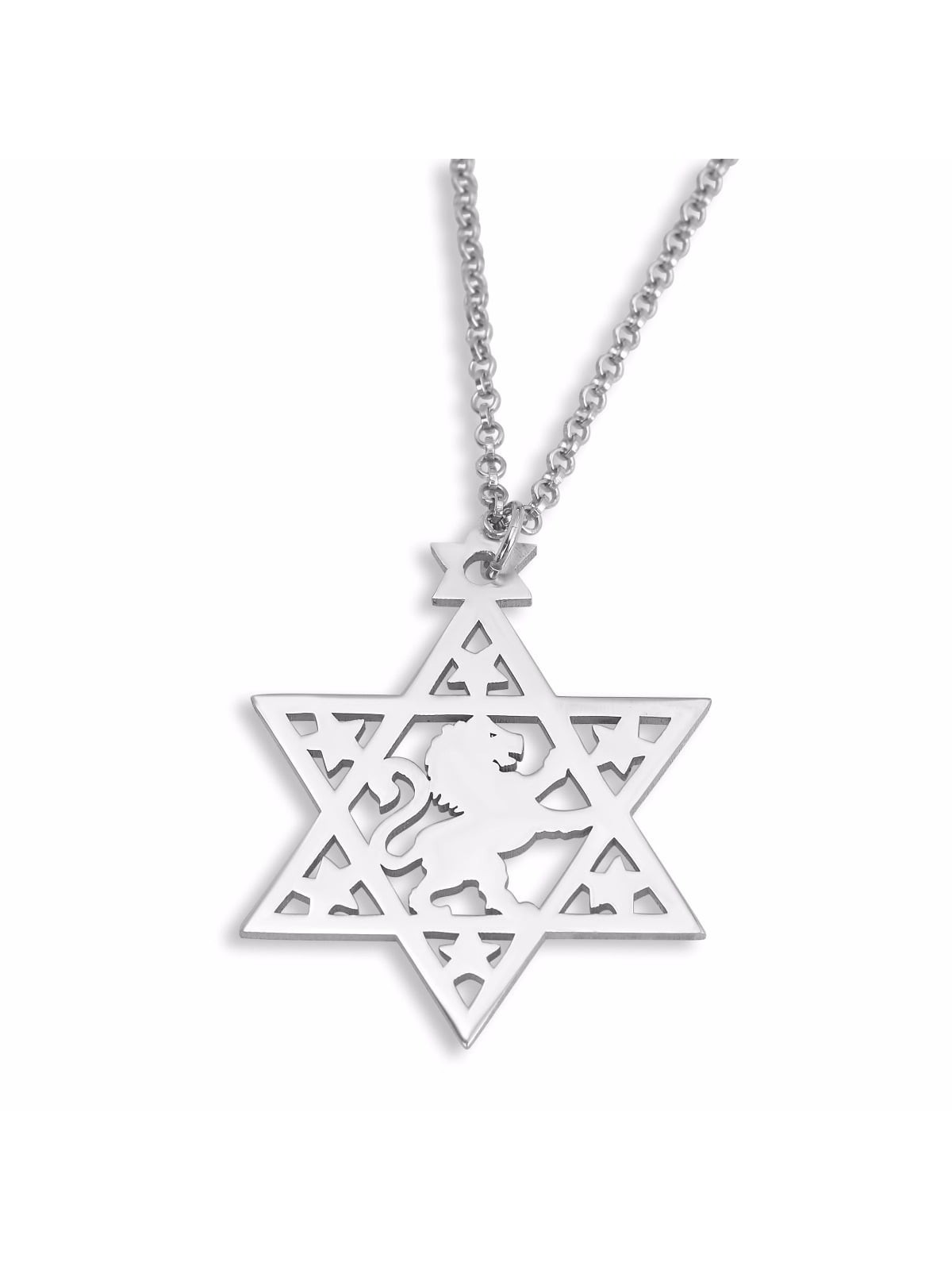Star of David Necklace with Lion of Judah - Silver or Gold Plated