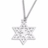 Star of David Necklace with Lion of Judah - Silver or Gold Plated