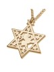 Star of David Necklace with Lion of Judah - Silver or Gold Plated