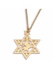 Star of David Necklace with Lion of Judah - Silver or Gold Plated