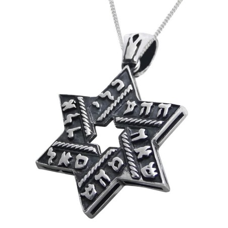 Noms sacrés : Collier étoile de David en argent sterling noirci Kabbale