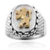 Sterling Silver and Gold Lion of Judah and Western Wall Ring