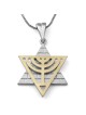 14K Gold Star of David Pendant Necklace With Menorah and Western Wall