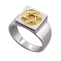 Sterling Silver and Gold Multi Shaped Star of David Ring