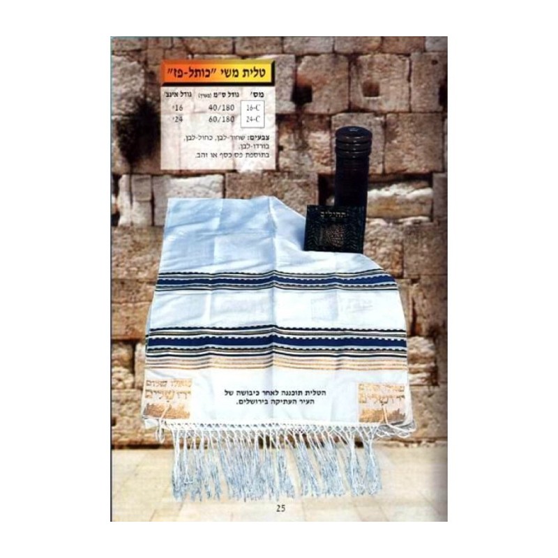 Kotel Paz Silk Tallit | Modern Tallits