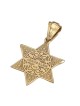 Anbinder Jewelry Deluxe Diamond-Accented 14K Yellow Gold Star of David