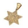 Anbinder Jewelry Deluxe Diamond-Accented 14K Yellow Gold Star of David