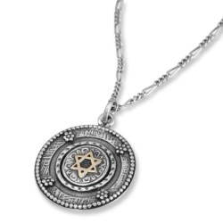 Flower Border: Silver Necklace with Gold Star of David