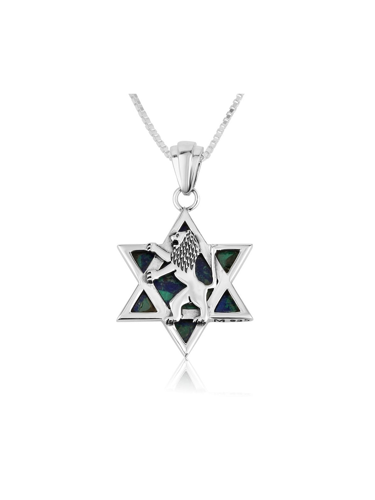 Pendentif unisexe étoile de David en pierre d'Eilat en argent sterling avec Lion de